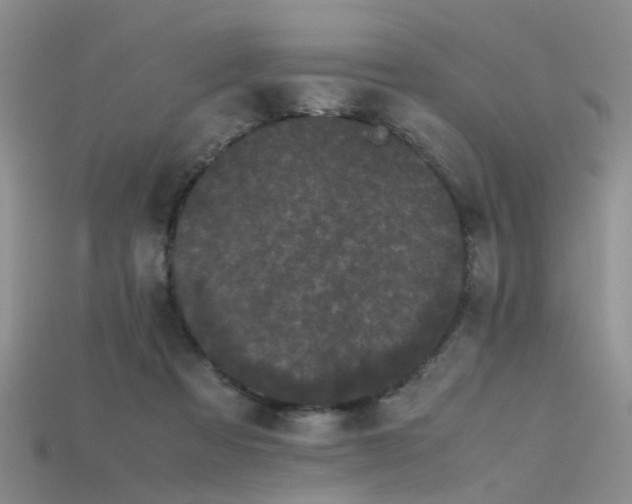 X0000115720313200911121456