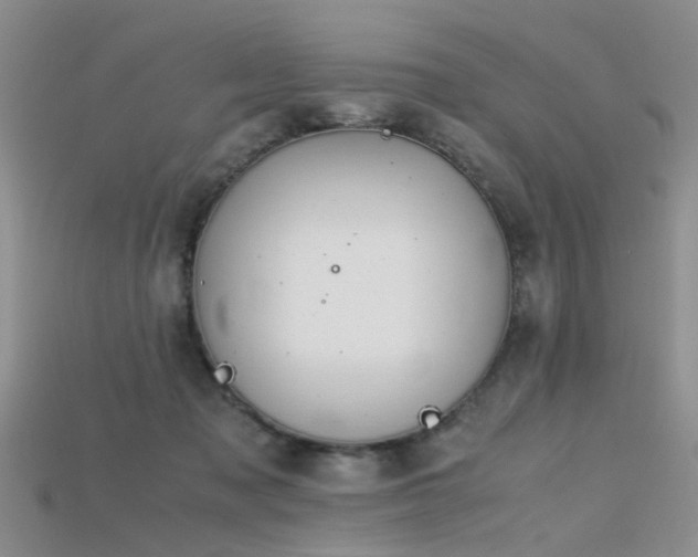 X0000115720317200911121456