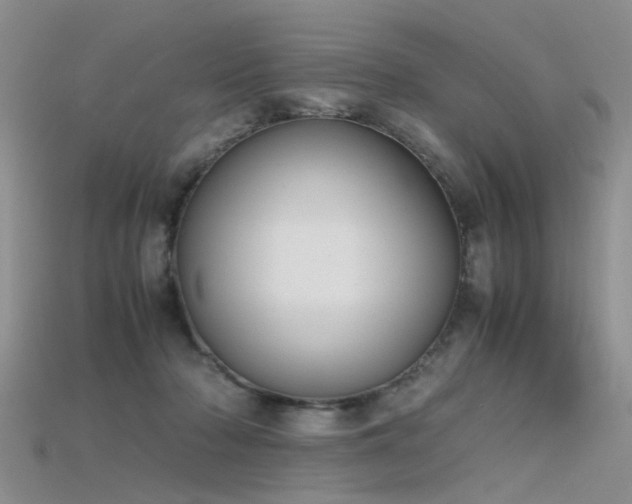X0000115720318200911121456