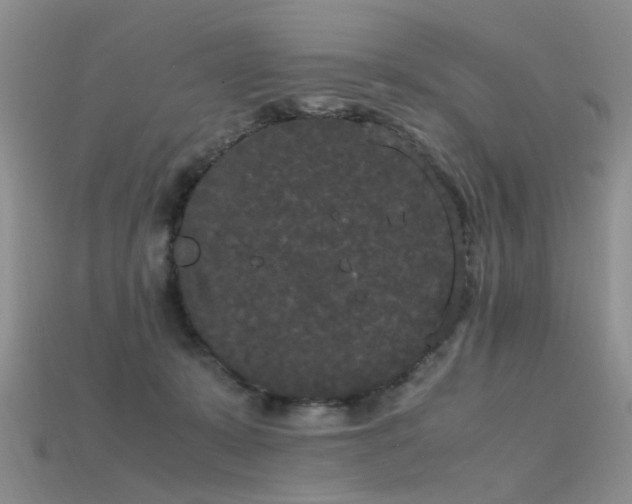 X0000115720319200911121456