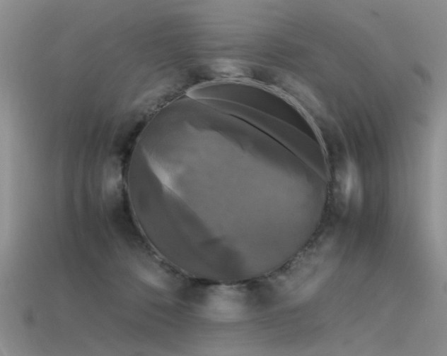 X0000115720320200911121456