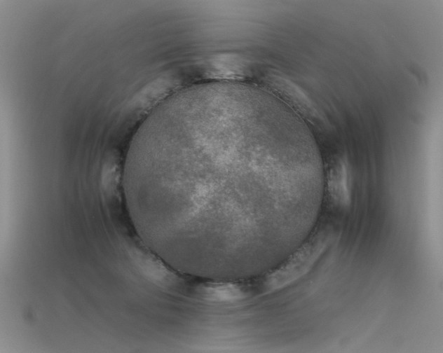 X0000115720322200911121456