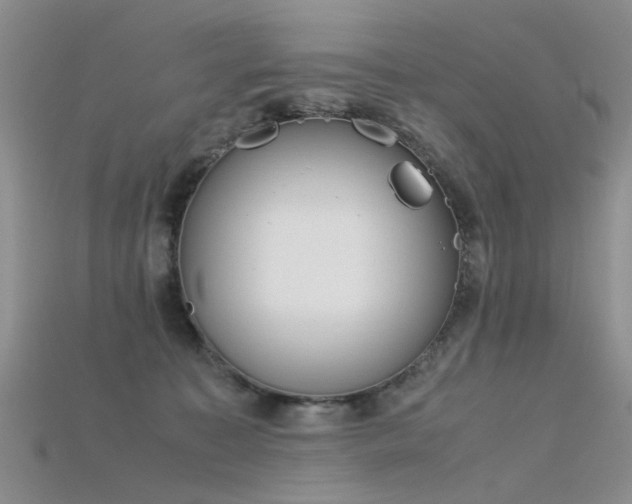 X0000115720323200911121456