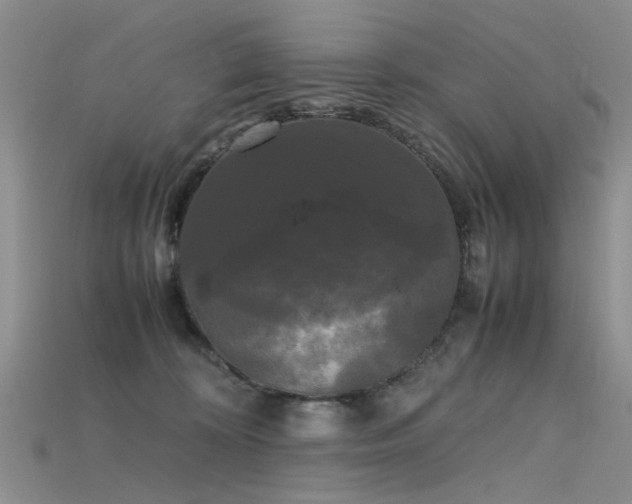 X0000115720324200911121456