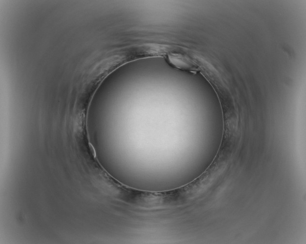 X0000115720325200911121456