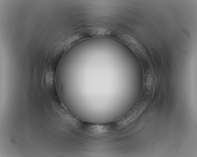 X0000115720326200911121456
