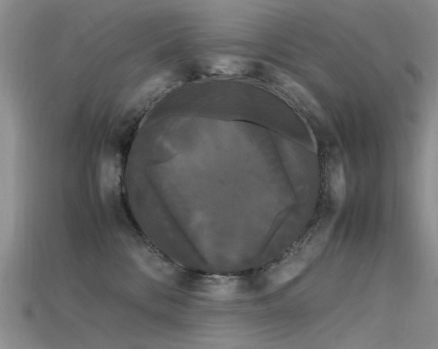 X0000115720328200911121456