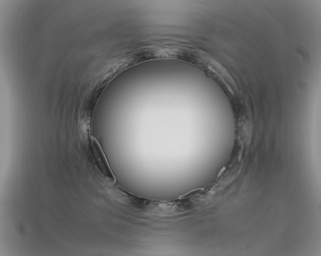 X0000115720329200911121456