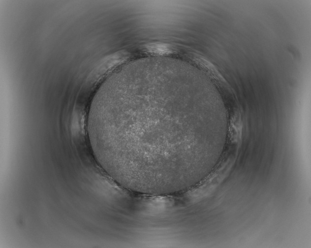 X0000115720330200911121456