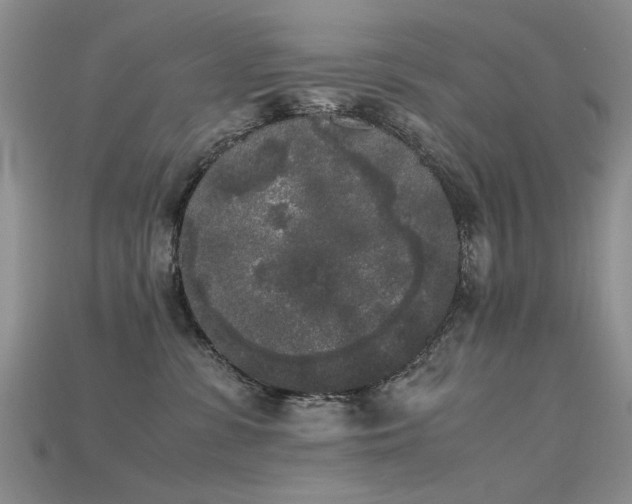 X0000115720331200911121456