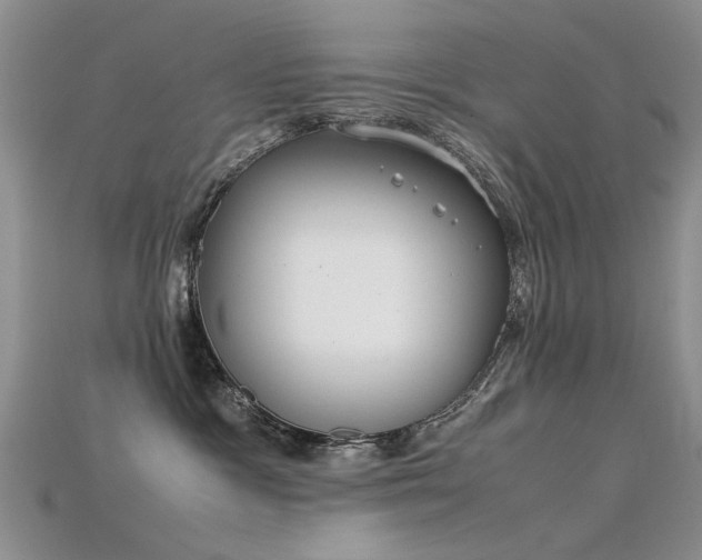 X0000115720333200911121456