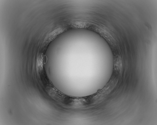 X0000115720334200911121456