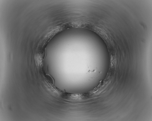 X0000115720335200911121456