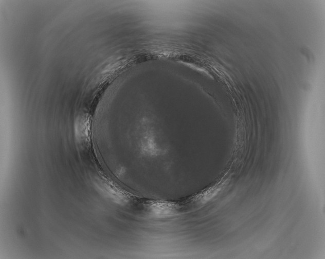 X0000115720336200911121456