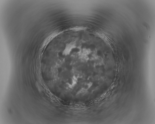X0000115720337200911121455