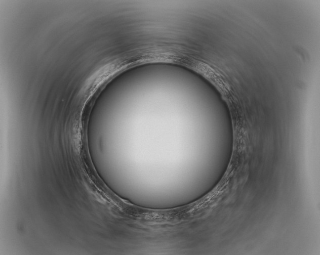 X0000115720338200911121455