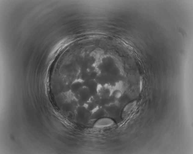 X0000115720339200911121455
