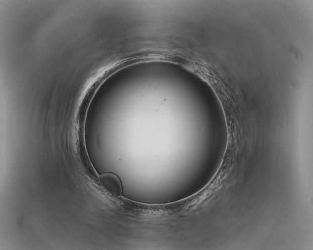 X0000115720342200911121455