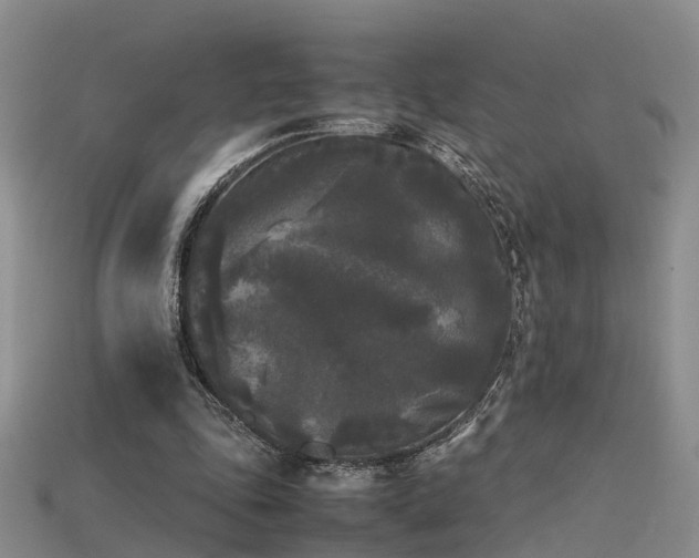 X0000115720343200911121455