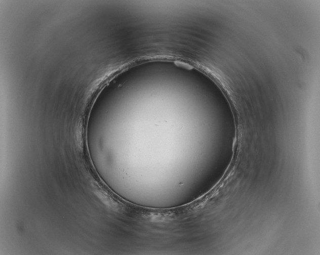 X0000115720345200911121455