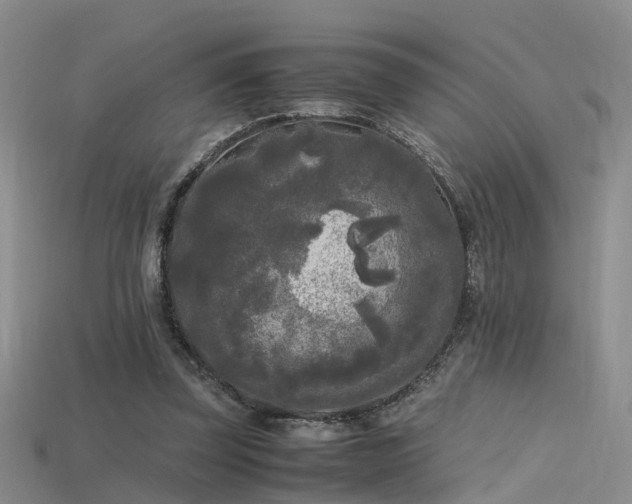X0000115720347200911121456