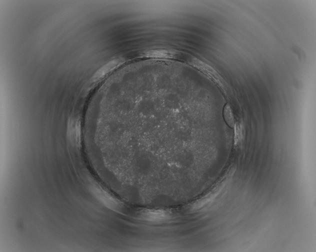 X0000115720349200911121456