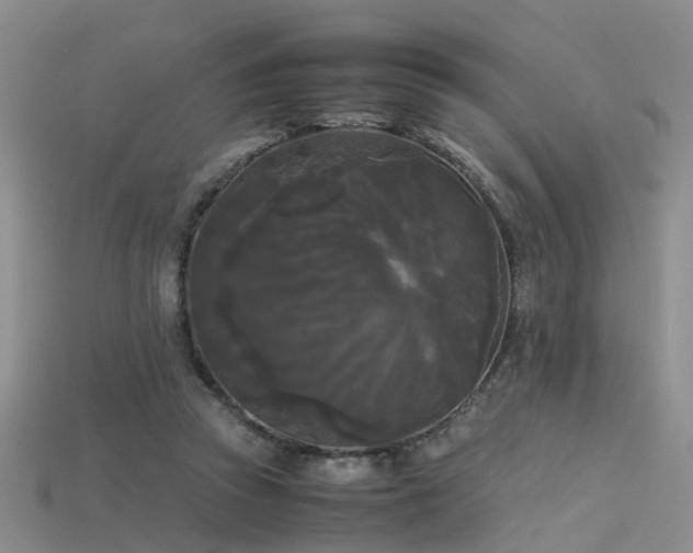 X0000115720353200911121456