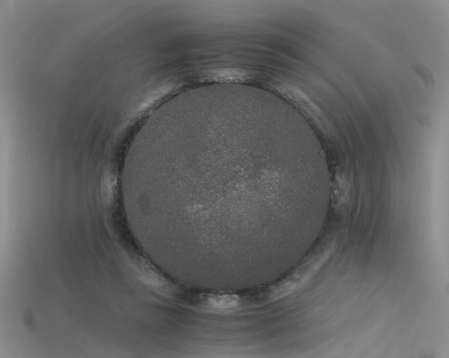 X0000115720355200911121456