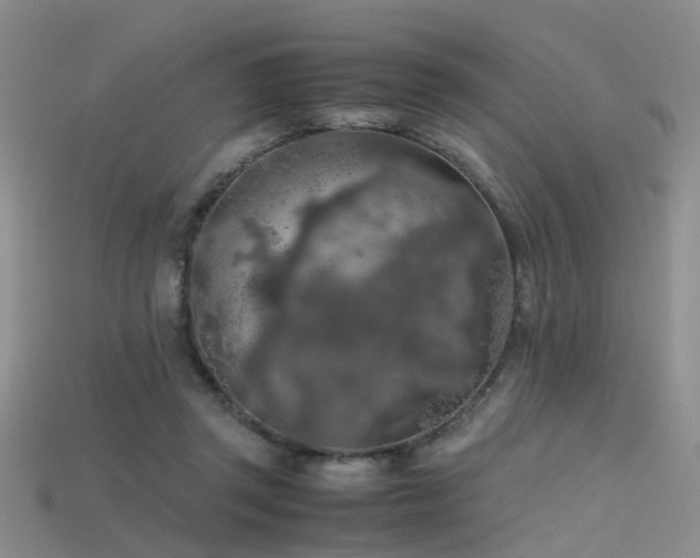 X0000115720357200911121456
