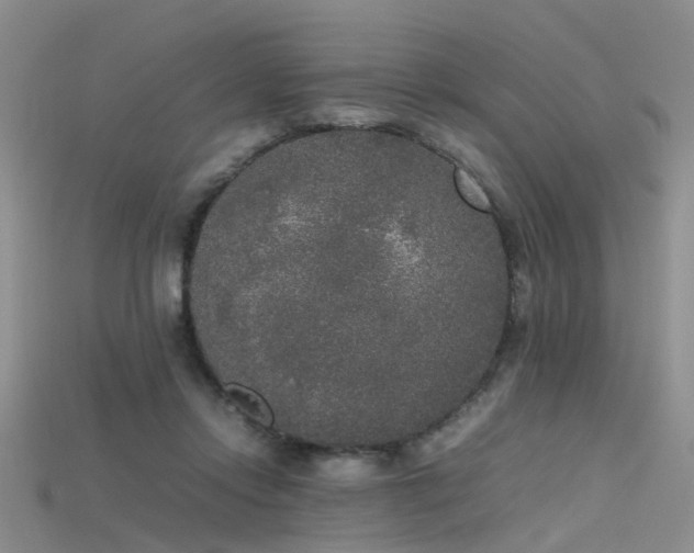 X0000115720358200911121456