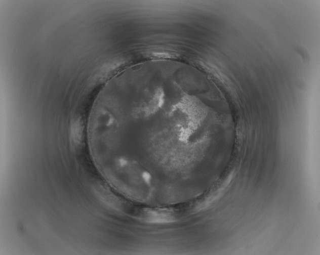 X0000115720359200911121456