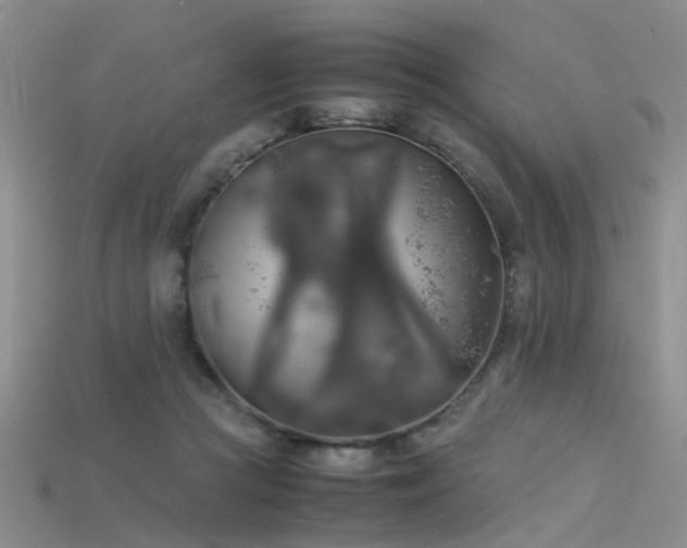 X0000115720361200911121456