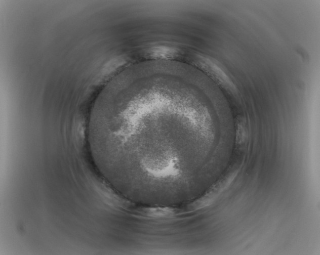 X0000115720363200911121456