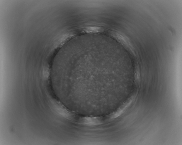 X0000115720367200911121456