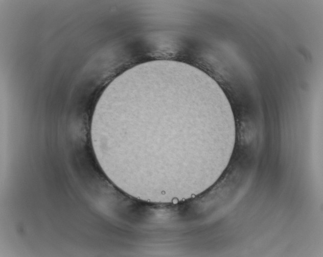 X0000115720370200911121456