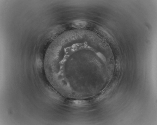 X0000115720371200911121456