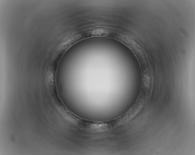 X0000115720375200911121456
