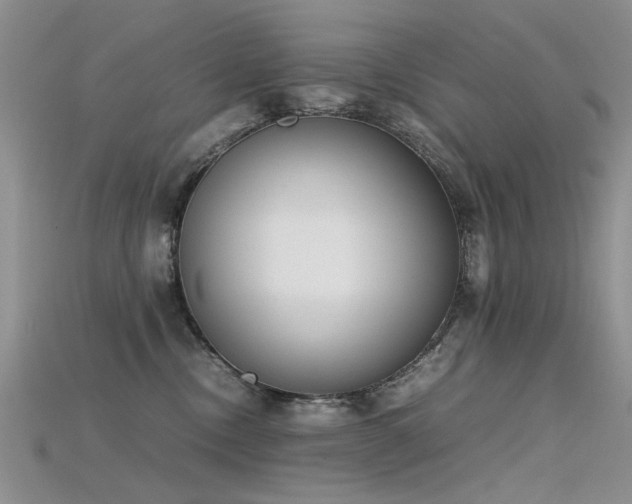 X0000115720378200911121456