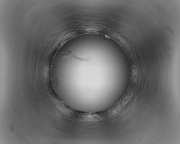 X0000115720379200911121456