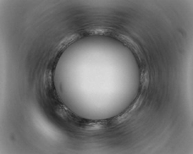 X0000115720381200911121456