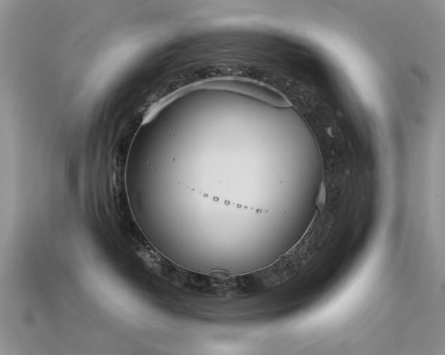 X0000115720382200911121456