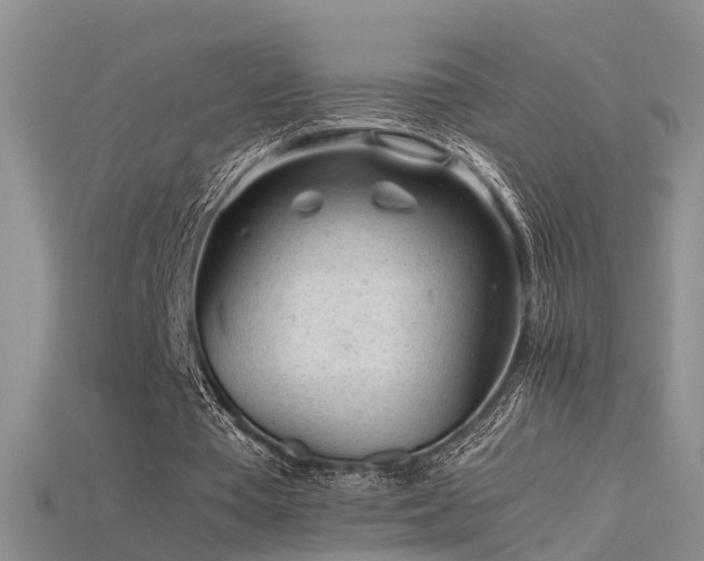 X0000115720385200911121455