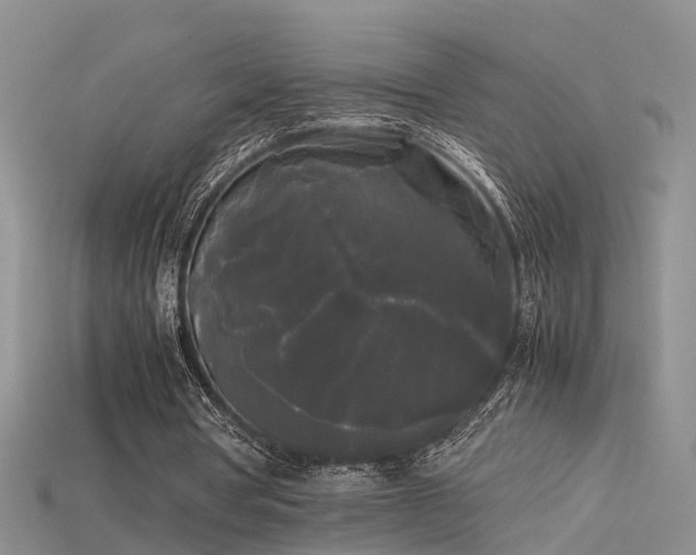 X0000115720386200911121455