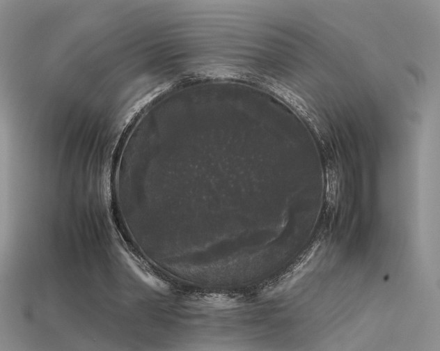 X0000115720390200911121455