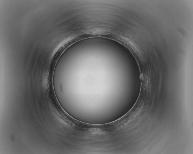 X0000115720392200911121455
