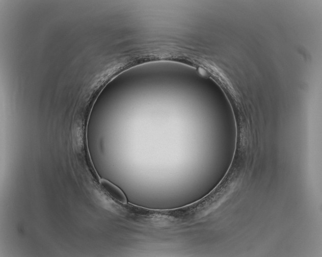 X0000115720393200911121455