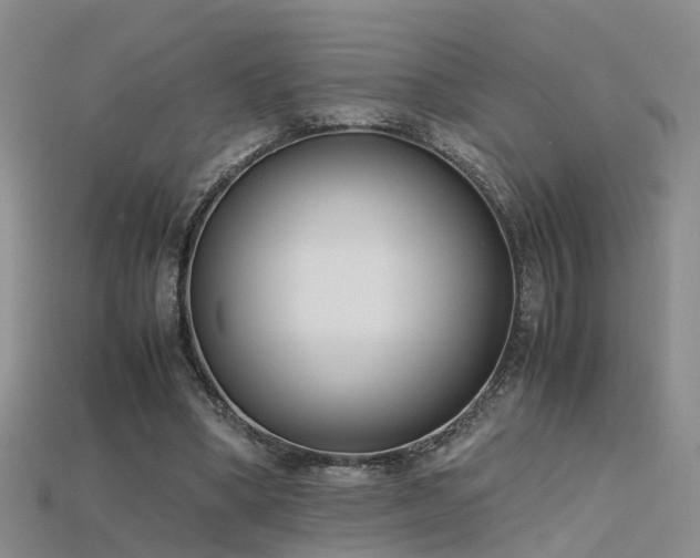 X0000115720394200911121455