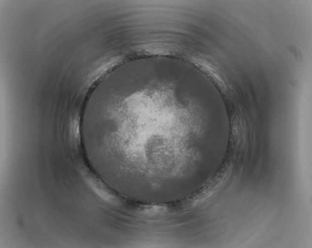 X0000115720398200911121455