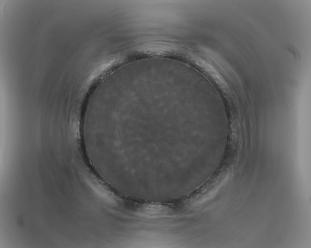X0000115720399200911121455