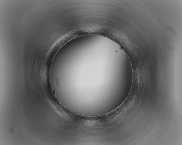 X0000115720400200911121455